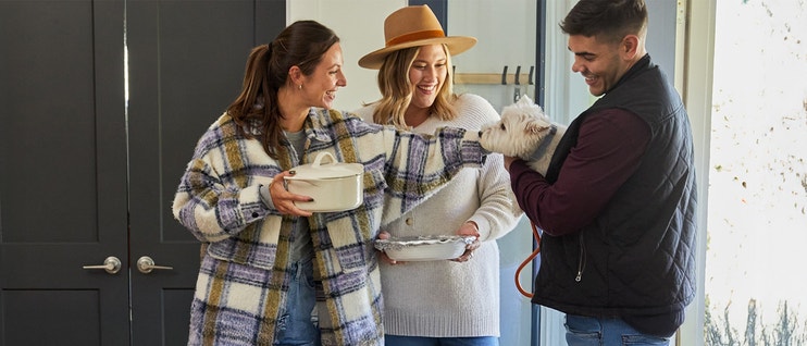 What Foods Can Small Dogs Eat and What Should They Avoid?