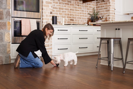 Mixing Dry and Wet Food