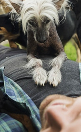 /sites/g/files/fnmzdf2476/files/2025-08/article-when-did-dogs-become-our-best-friends-banner-1440x617_0.jpg