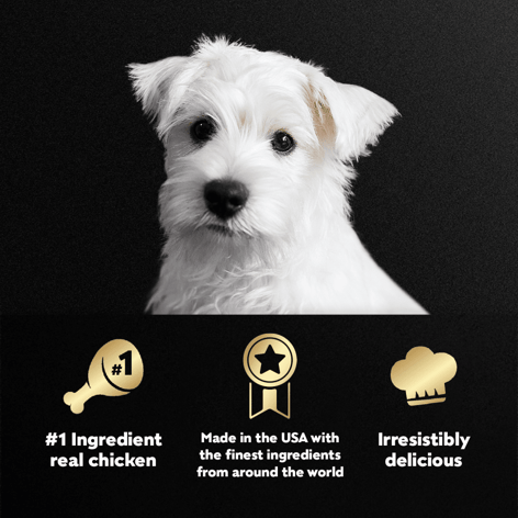 Puppy cesar sales dog food