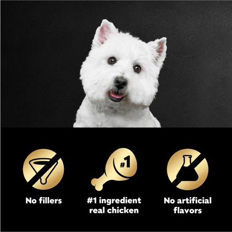 Wood-Grilled Chicken Mini-Pouch image 1