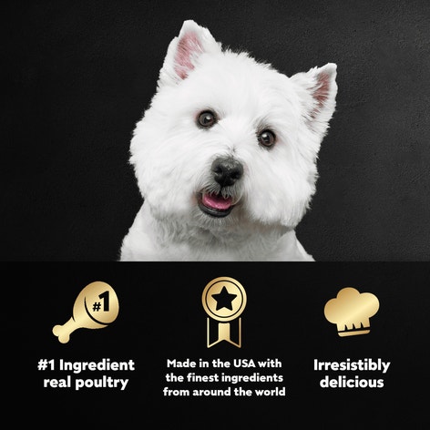Poultry Varieties 24ct Multipack image 1