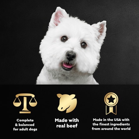 Filet Mignon & New York Strip Flavors 12 ct Multipack image 1