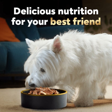 Steak & Chicken Lover's 36ct Multipack image 1
