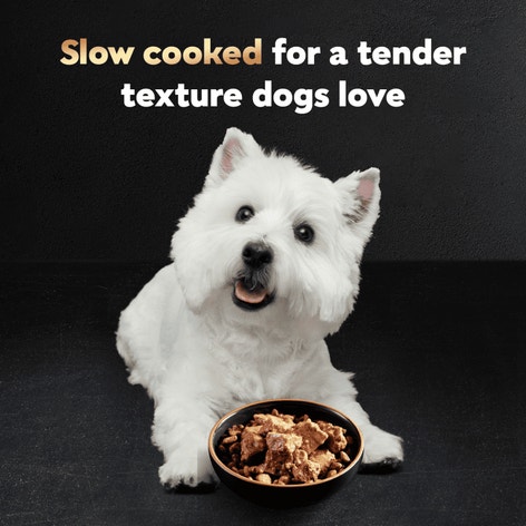 Steak Lover's 24 ct Multipack image 1