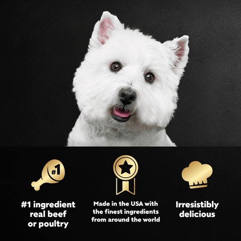 Poultry, Steak & Beef Varieties 36ct Multipack image 1