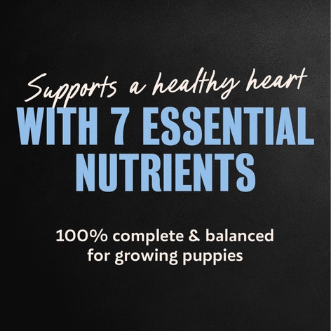 Cesar Puppy Chicken & Beef and Chicken Variety Pack Wet Dog Food, 3.5 oz Easy Peel Tray, 12 Ct. image 1