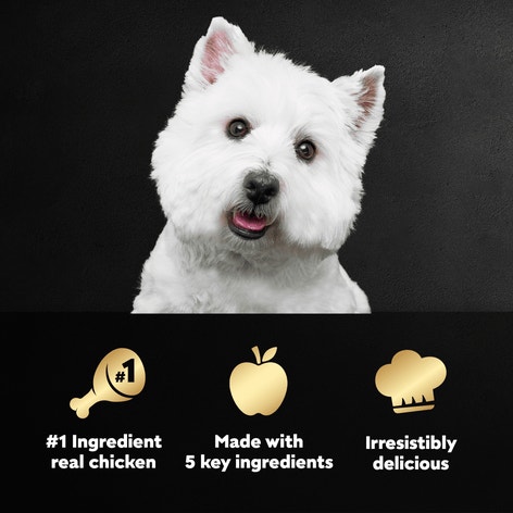 Simply Crafted™ Chicken, Sweet Potato, Apple, Barley & Spinach image 1