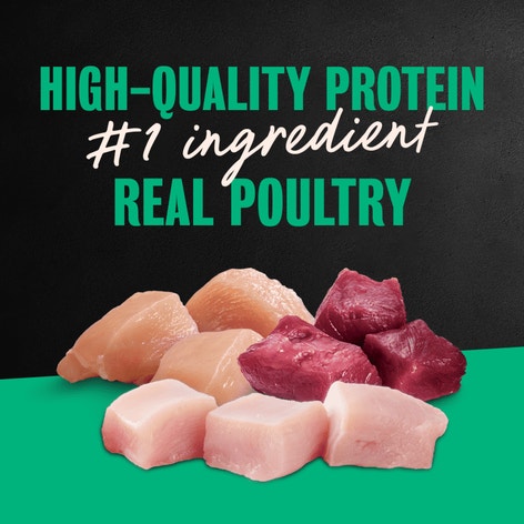 Poultry Varieties 24ct Multipack image 1