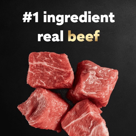 Filet Mignon Flavor & Spring Vegetables image 1