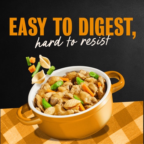Home Delights™ Hearty Chicken & Noodle Dinner in Sauce image 1