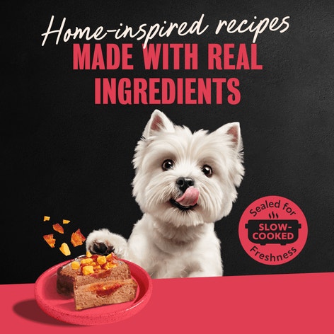 Loaf & Topper in Sauce Angus Beef  with Bacon & Cheese image 1