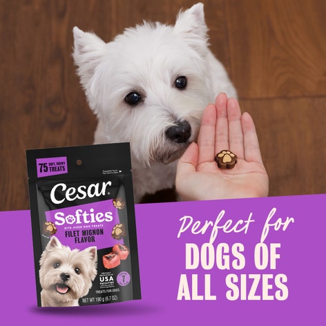 Cesar Softies Chewy Soft Dog Treats Filet Mignon image 1