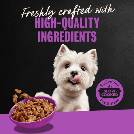 Filets in Gravy Filet Mignon image 1