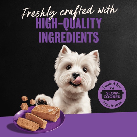 Grilled Chicken & Top Sirloin Flavors 12ct Multipack image 1