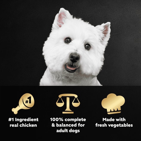 Cesar Wholesome Meals Adult Wet Dog Food, Chicken and Vegetables Recipe image 1