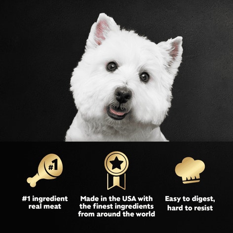 Breakfast 12ct Multipack image 1