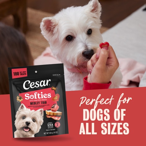 Cesar Softies Chewy Soft Dog Treats Medley Trio image 1