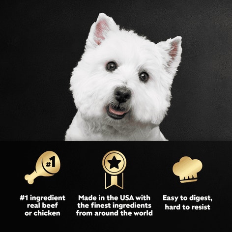 BACKYARD COOKOUT™ 12ct Multipack image 1