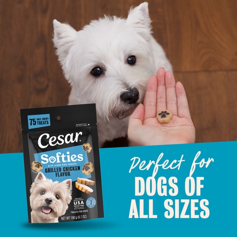 Cesar Softies Grilled Chicken Flavor Chewy Soft Dog Treats image 1
