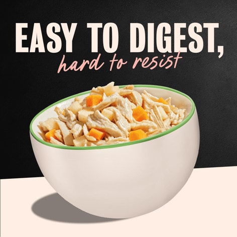 Wholesome Bowls™ Chicken, Apple & Sweet Potato image 1