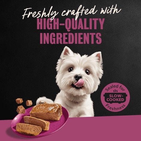 Steak Lover's 36 ct Multipack image 1