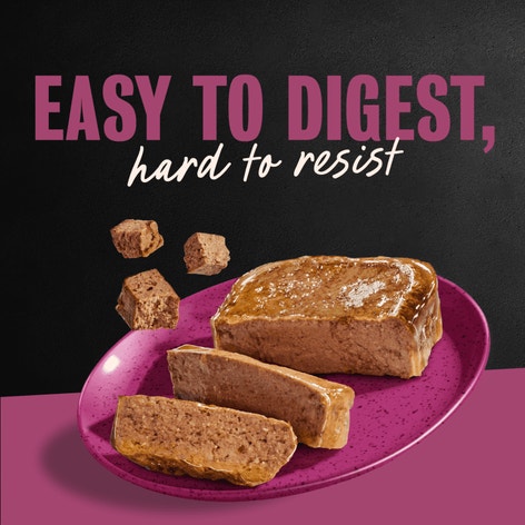 Steak Lover's 36 ct Multipack image 1