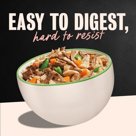 Wholesome Bowls Wet Dog Food, Beef & Chicken with Vegetables image 1