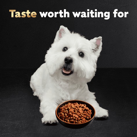 Filet Mignon Flavor & Spring Vegetables image 1