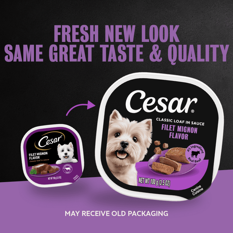 Classic Loaf in Sauce Filet Mignon Dog Food | CESAR®