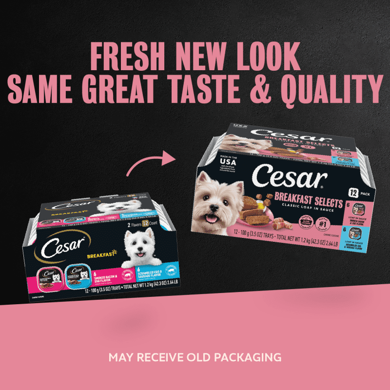 Breakfast 12ct Multipack Dog Food | CESAR®