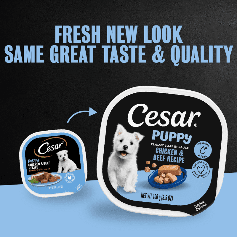 Puppy Food Chicken & Beef and Chicken Variety Pack | CESAR