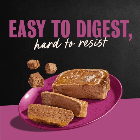 Classic Loaf in Sauce Porterhouse Steak image 1