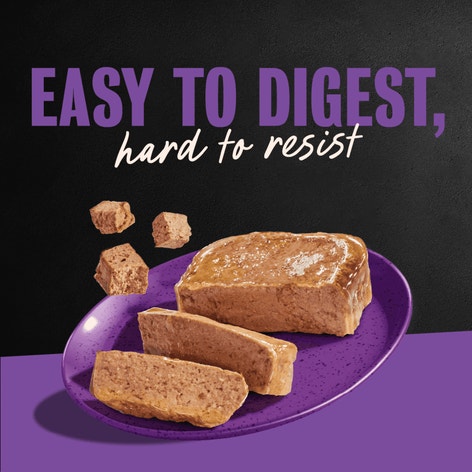 Classic Loaf in Sauce Grilled Chicken image 1