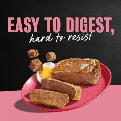 Breakfast 12ct Multipack image 1