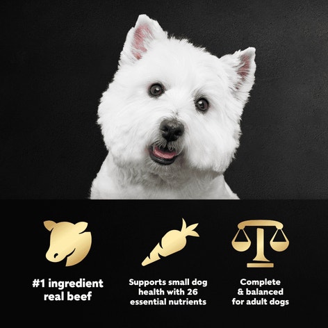 Porterhouse Flavor & Spring Vegetables image 1