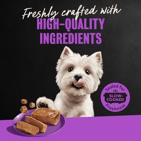 Dry-Aged Ribeye and Filet Mignon Flavors 12ct Multipack image 1