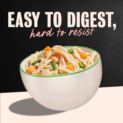 Wholesome Bowls Wet Dog Food, Chicken Variety Pack image 1