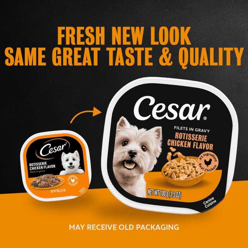 Cesar Filets in Gravy Adult Wet Dog Food Variety Pack Easy Peel Trays 60 Count image 1