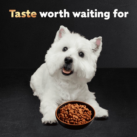 Rotisserie Chicken Flavor & Spring Vegetables image 1