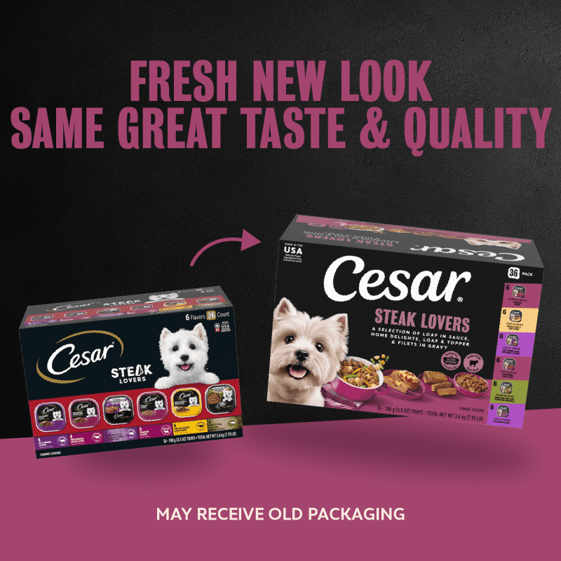 限定盤 Dogs D'Amour Seconds Dinner Seconds Steak Lover's Wet Dog Food Multipack 36 Count | CESAR®