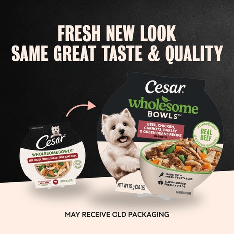 Wholesome Bowls Wet Dog Food, Beef & Chicken with Vegetables image 1