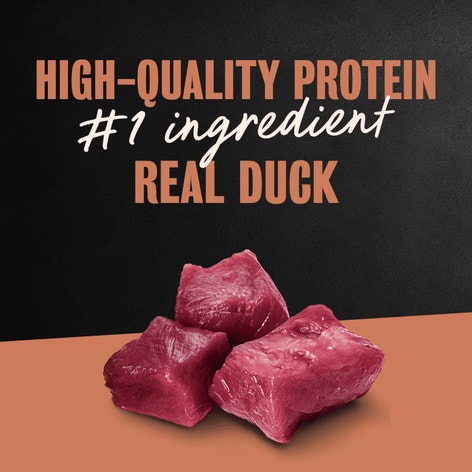 Classic Loaf in Sauce Duck image 1