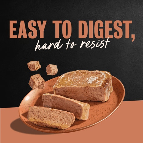 Classic Loaf in Sauce Duck image 1