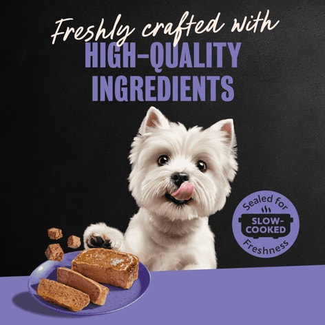 Classic Loaf in Sauce Dry-Aged Ribeye image 1