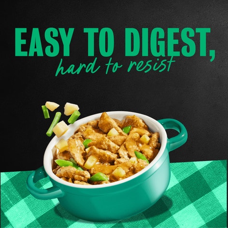 Home Delights™ Turkey, Green Beans & Potatoes Dinner in Sauce image 1