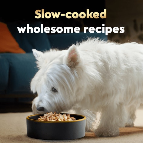 Wholesome Bowls™ Beef, Chicken, Carrots & Purple Potatoes image 1