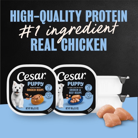 Cesar Puppy Chicken & Beef and Chicken Variety Pack Wet Dog Food, 3.5 oz Easy Peel Tray, 12 Ct. image 1