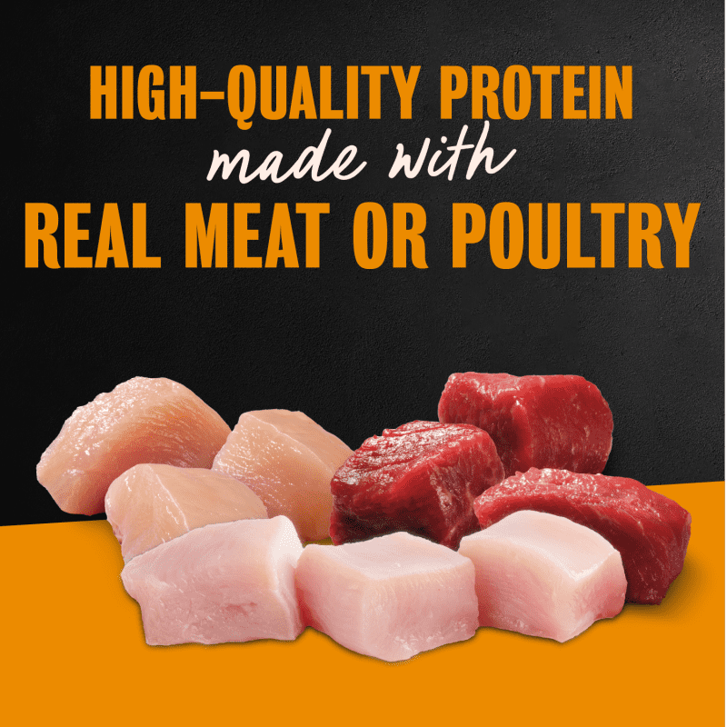 Cesar Filets in Gravy Adult Wet Dog Food Variety Pack Easy Peel Trays 36 Count image 1