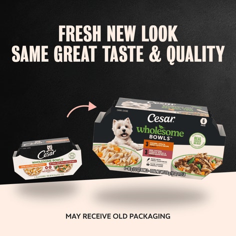 Wholesome Bowls Wet Dog Food, Recipe Variety Pack image 1